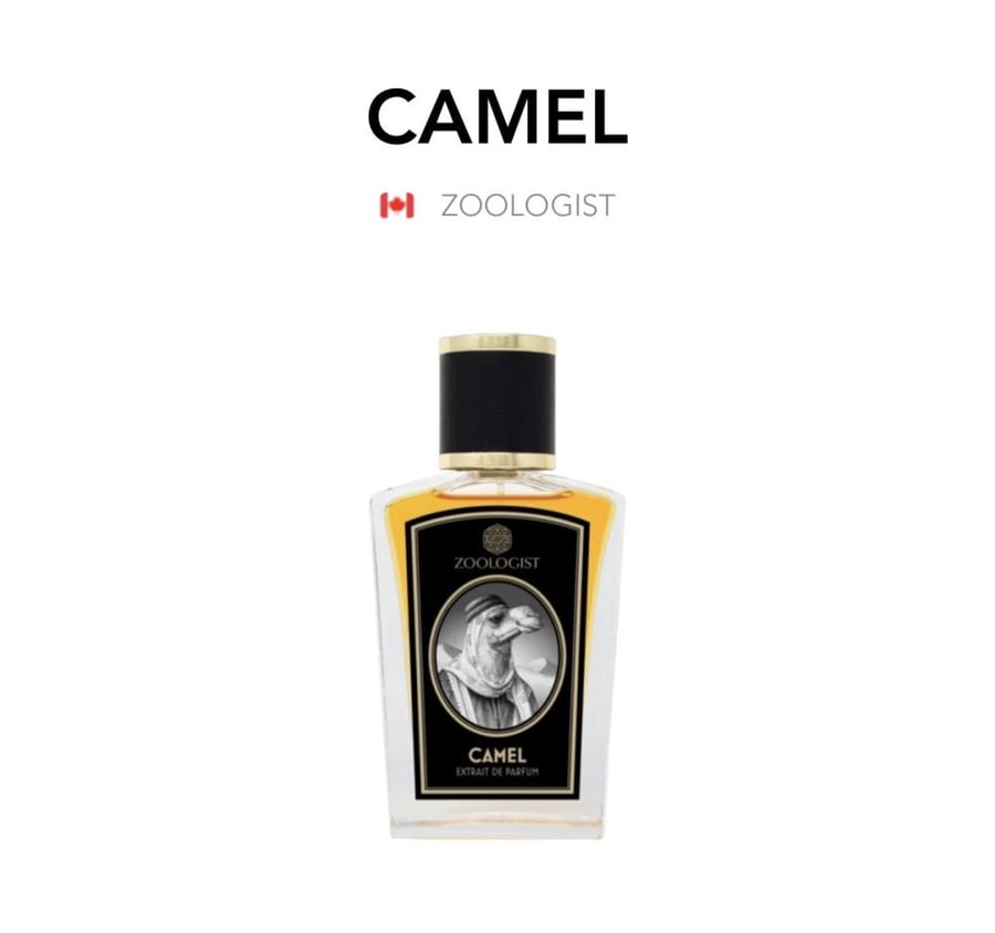 Camel - Zoologist