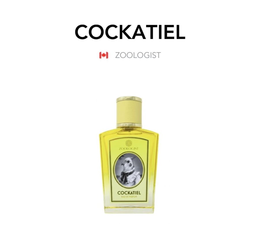 Cockatiel - Zoologist