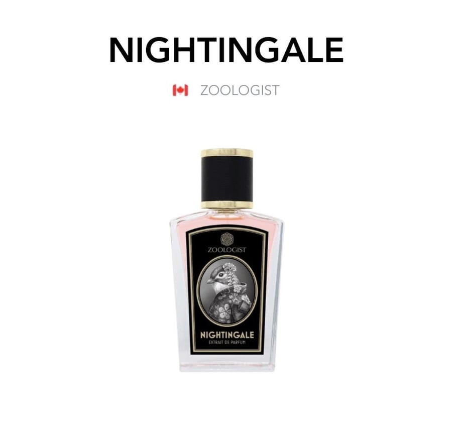 Nightingale - Zoologist
