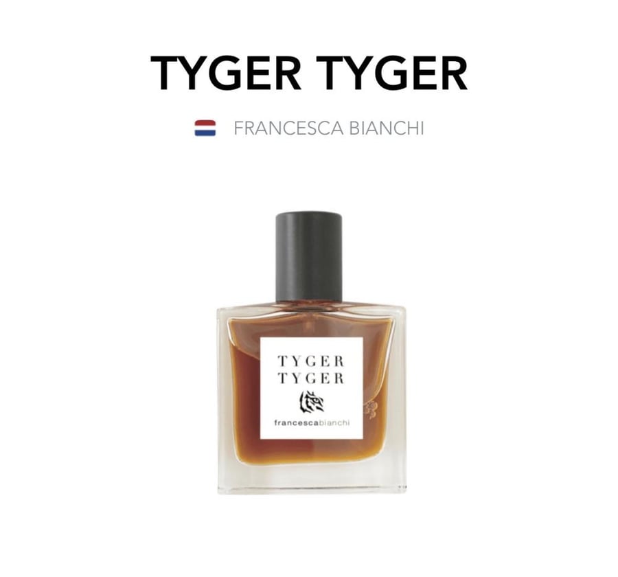 Tyger Tyger - Francesca Bianchi