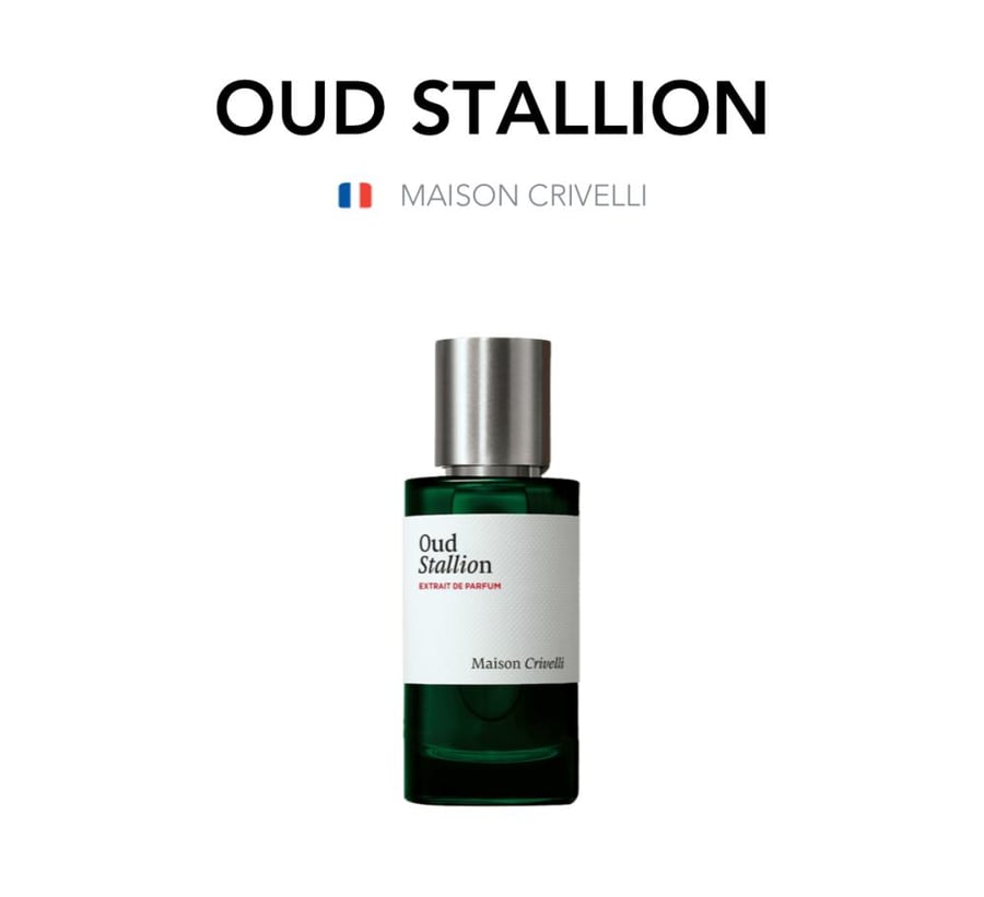 OUD STALLION - MAISON CRIVELLI