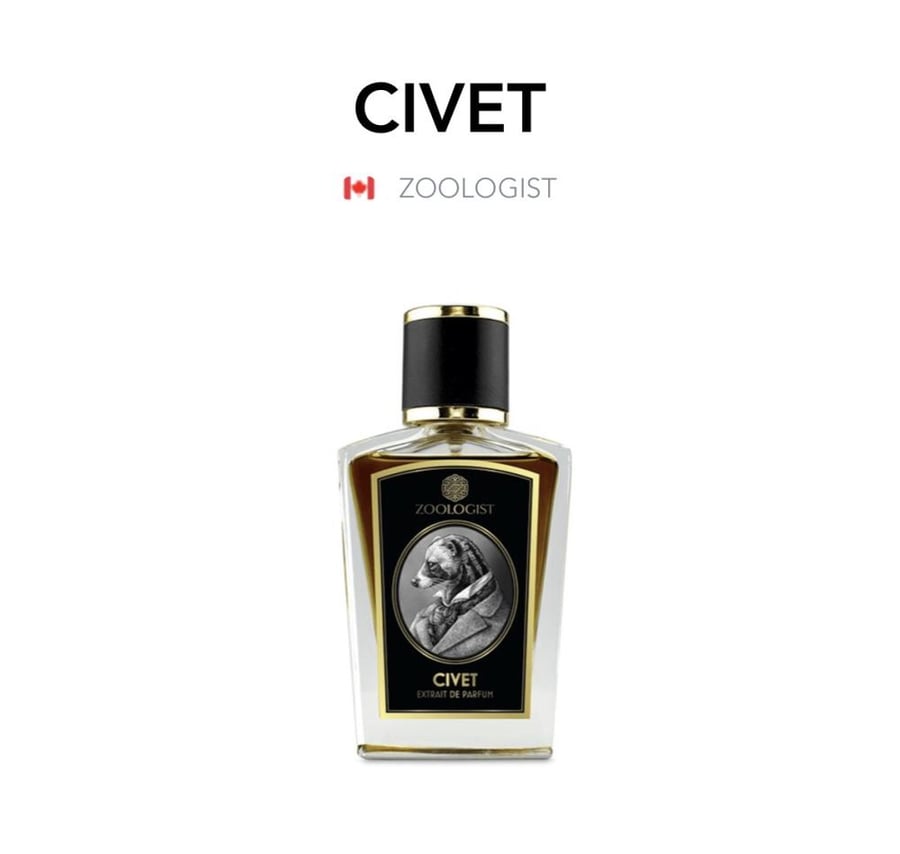 Civet - Zoologist