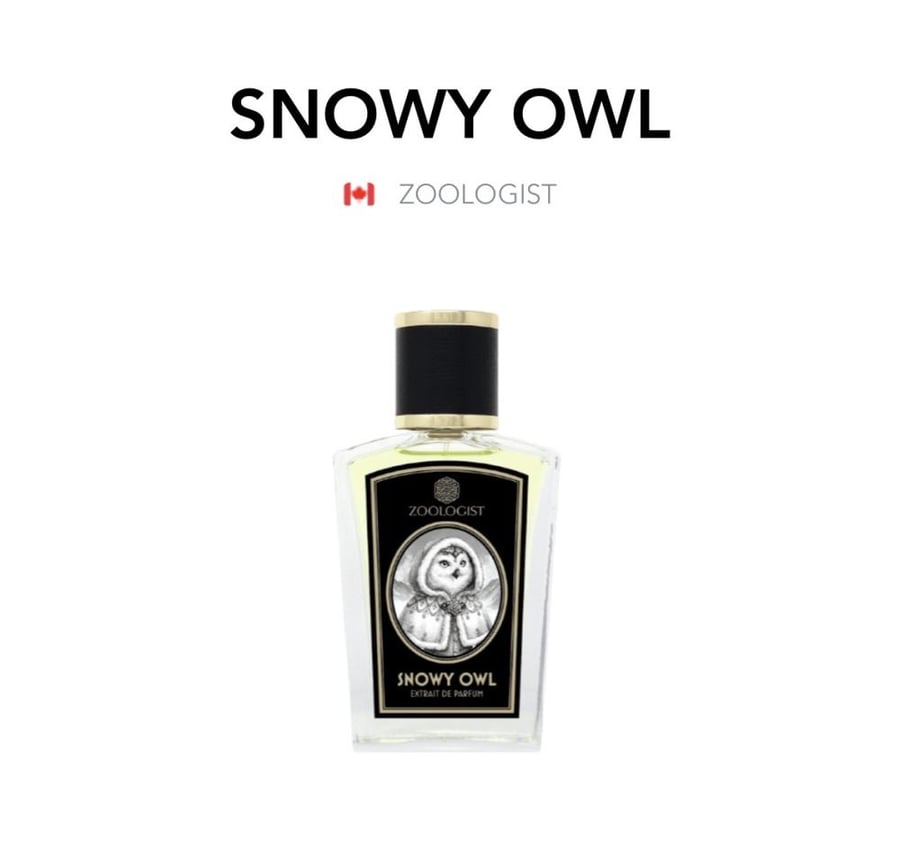 Snowy Owl - Zoologist