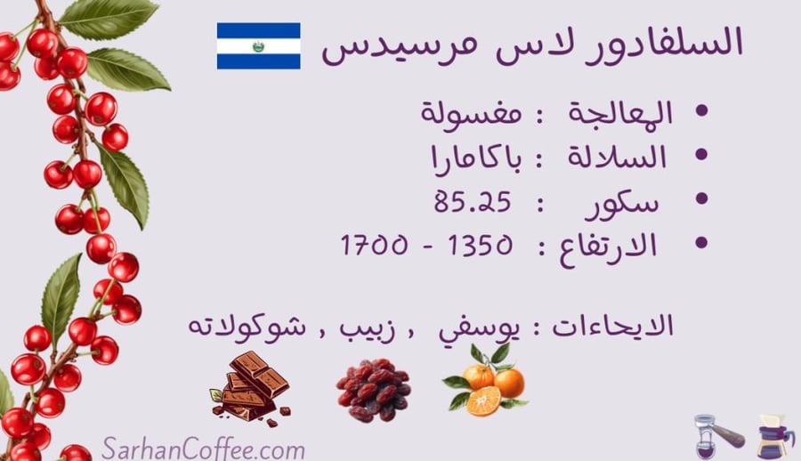 قهوة السلفادور لاس مرسيدس