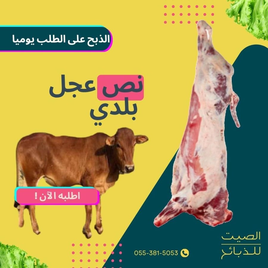 نص عجل بلدي توصيل الشرقية