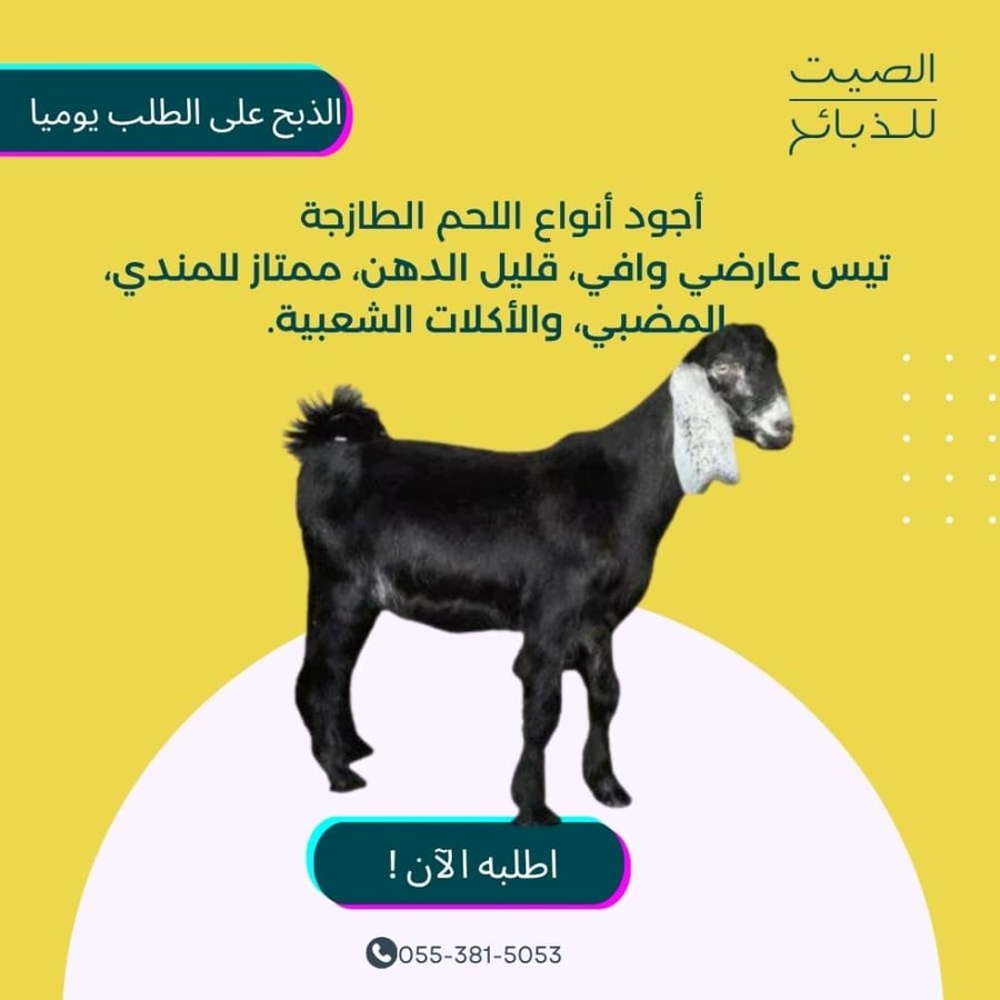 تيس عارضي لباني- الصيت
