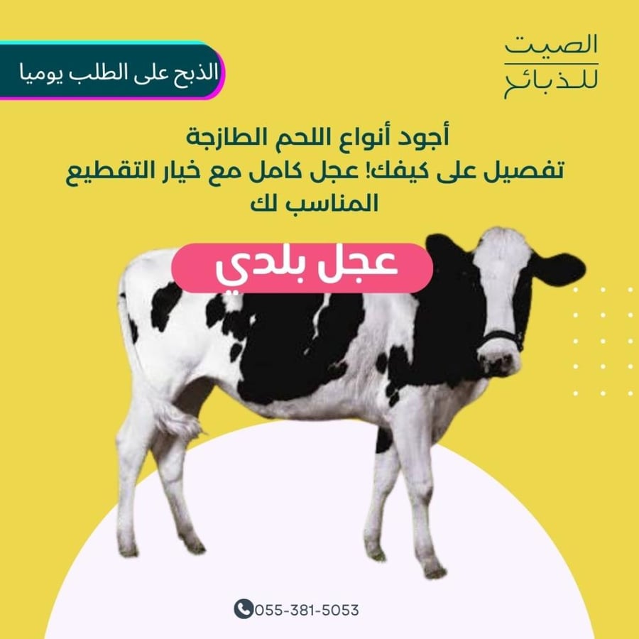 عجل بلدي كامل- الصيت للذبائح
