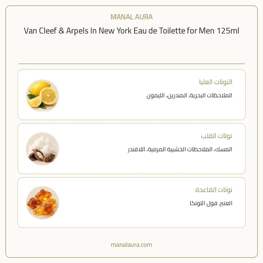 فان كليف آند آربلز عطر ان نيويورك أو دو تواليت - عطري سرخسي - للرجال - 125 مل