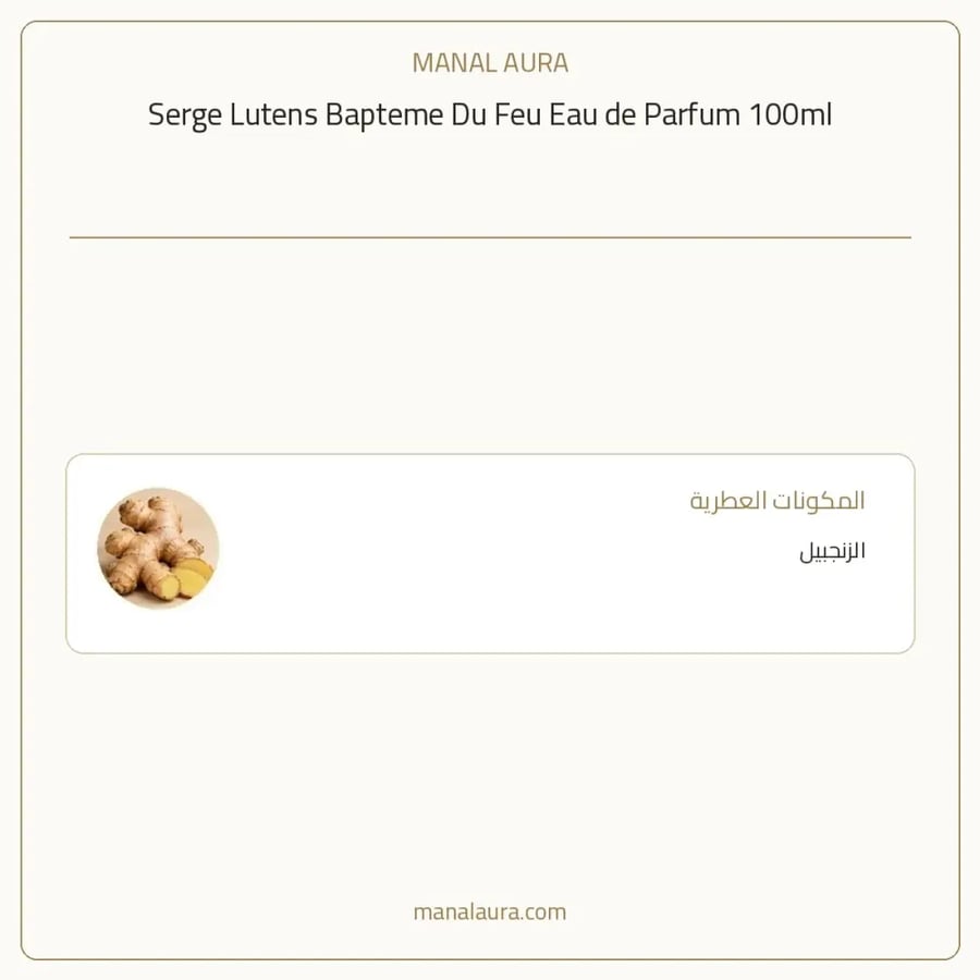 سيرج لوتنس عطر بابتيمي دو فو أو دو بارفيوم - شرقي - للجنسين - 100 مل