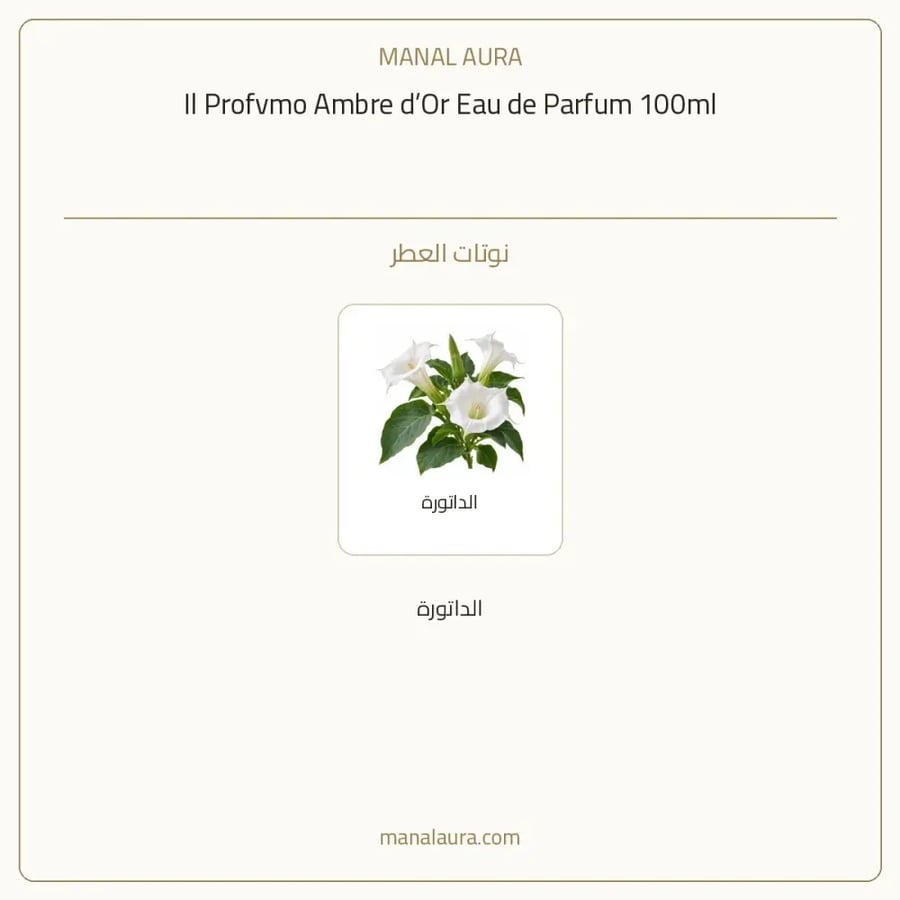 فلوريس لندن عطر إل بروفومو أمبر دور أو دو بارفيوم - عطري - للجنسين - 100 مل