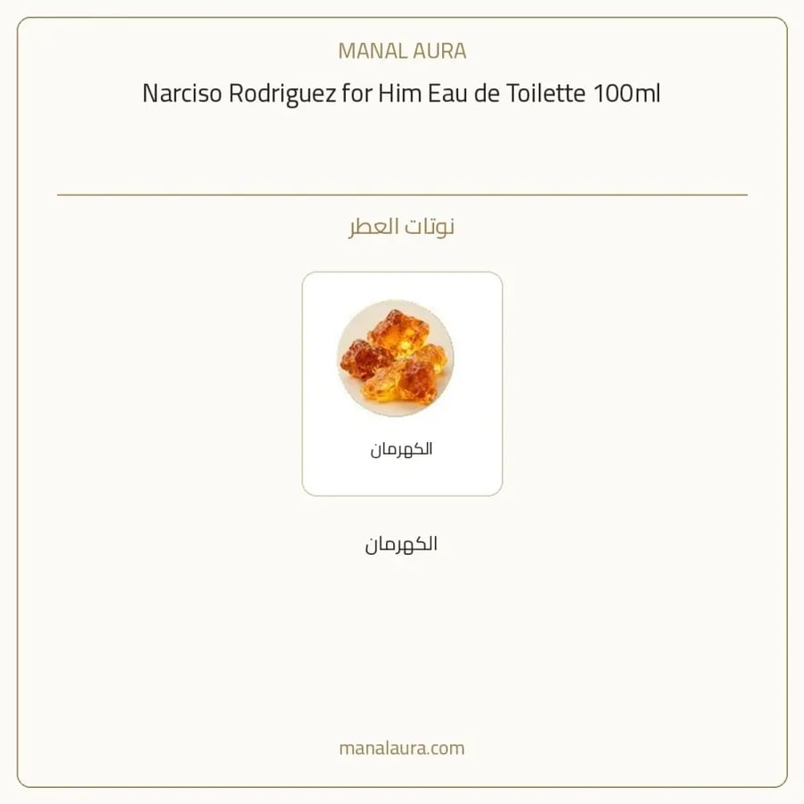 نارسيسو رودريغيز عطر أو دو تواليت - عطري سرخسي - للرجال - 100 مل