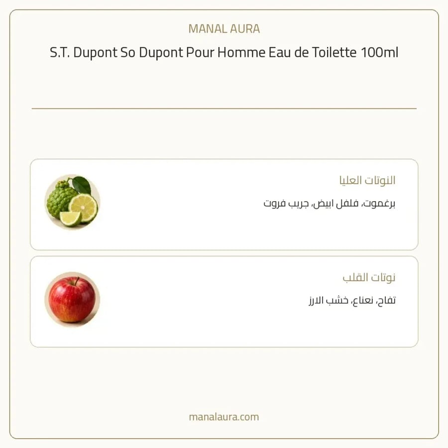 إس تي دوبون عطر سو أو دو تواليت - خشبي عطري - للرجال - 100 مل