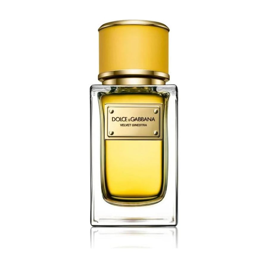 عطر دولتشي أند غابانا فيلفت جينيسترا 150 للنساء 150 مل
