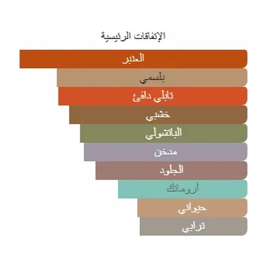 هوغو بوس عطر بوتلد ابسولو انتنس بارفيوم - خشبي - للرجال - 200 مل