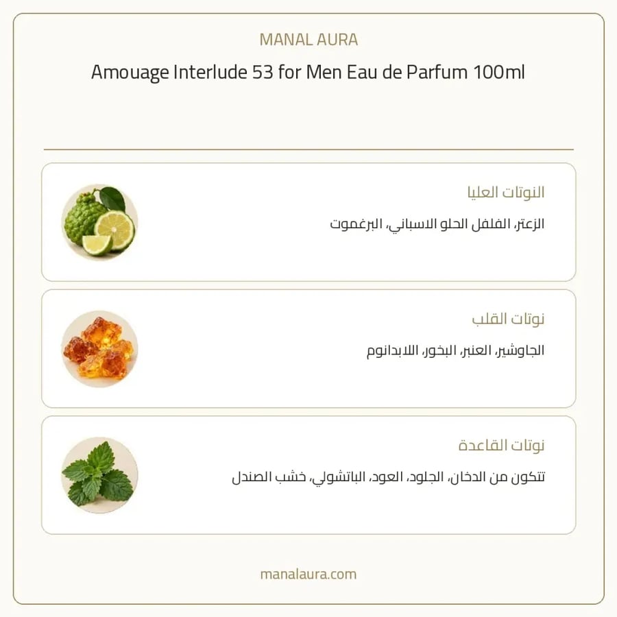 أمواج عطر انترلود 53 أو دو بارفيوم - عنبر خشبي - للرجال - 100 مل