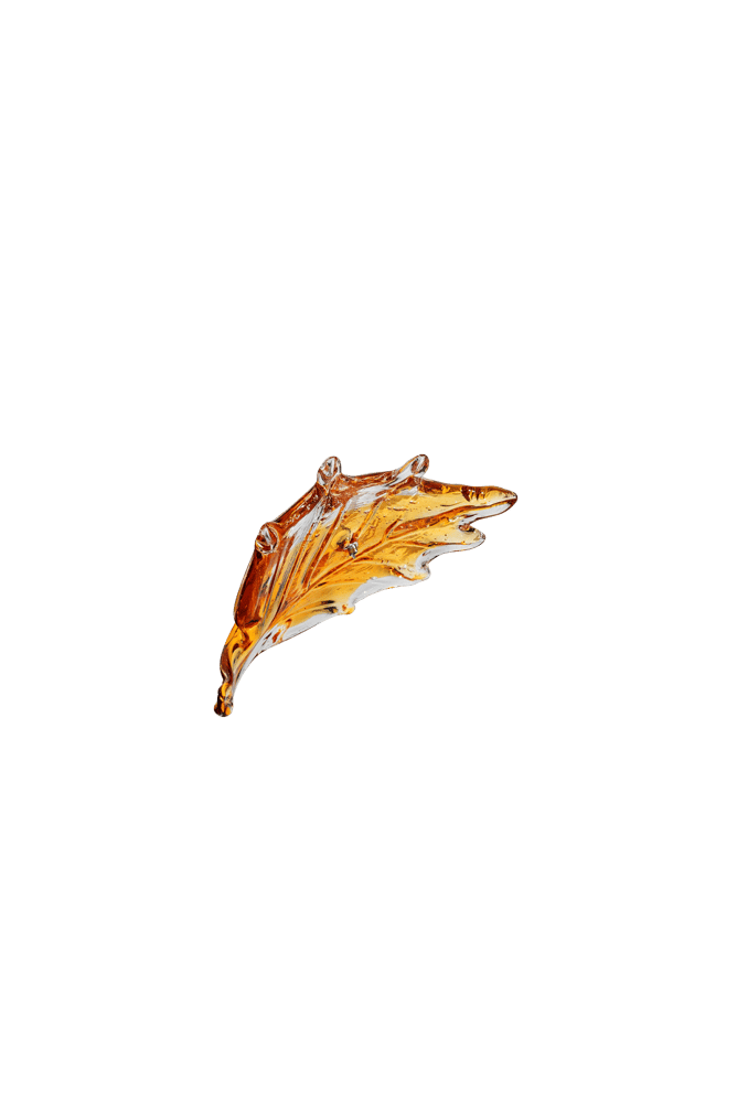 qt-zjjy-ltsmym-lm-lqt-zinco-xq-a003-amber-bubble