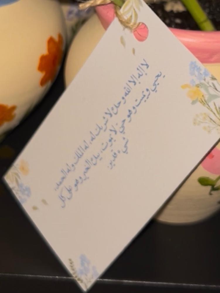 نبته فخار صغيره