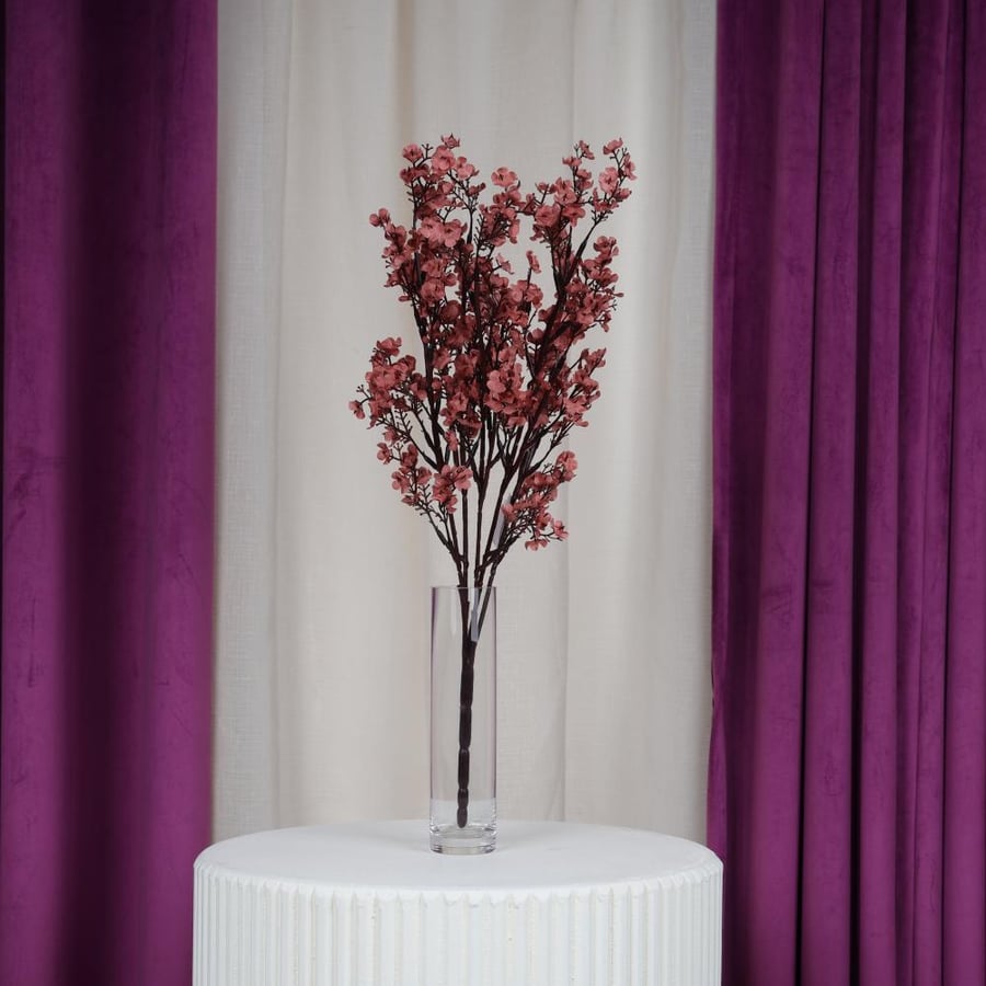 Brown jasmine
