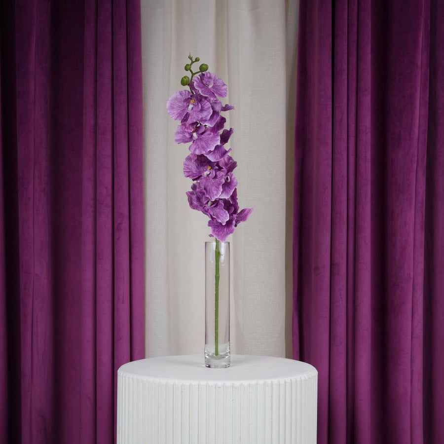 Purple orchid branch
