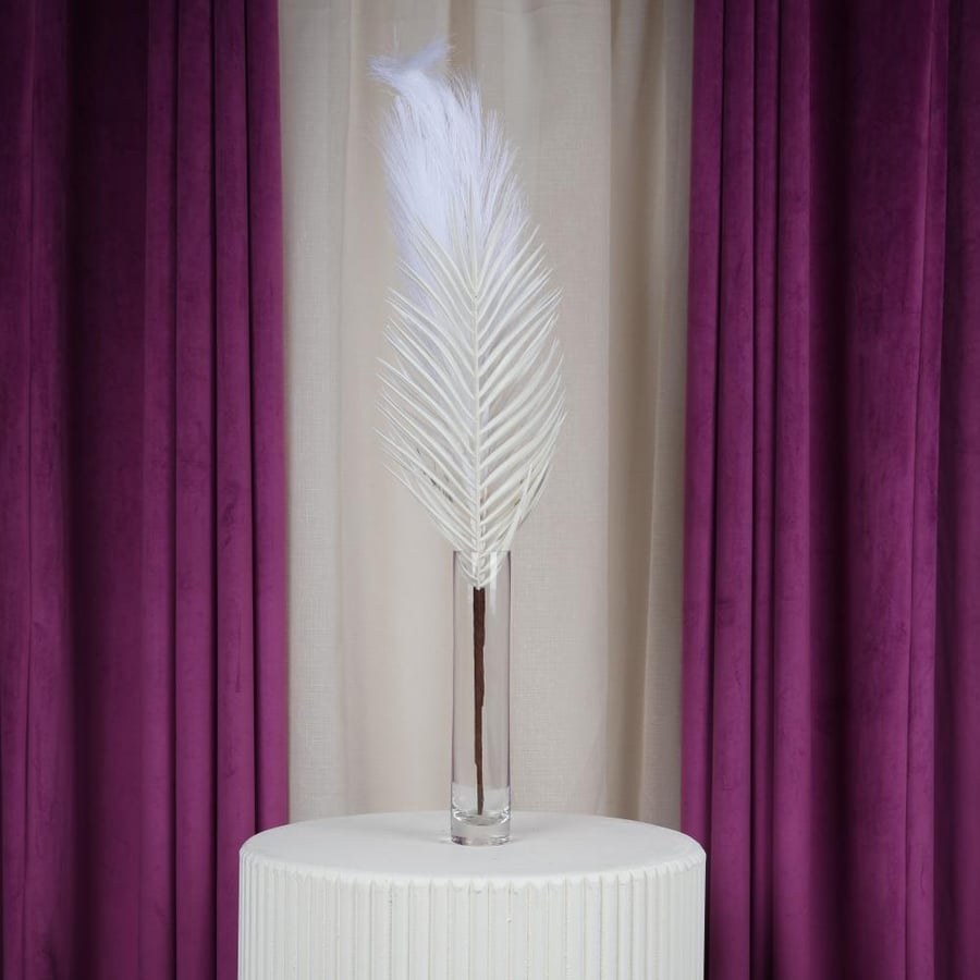 sugar feathers