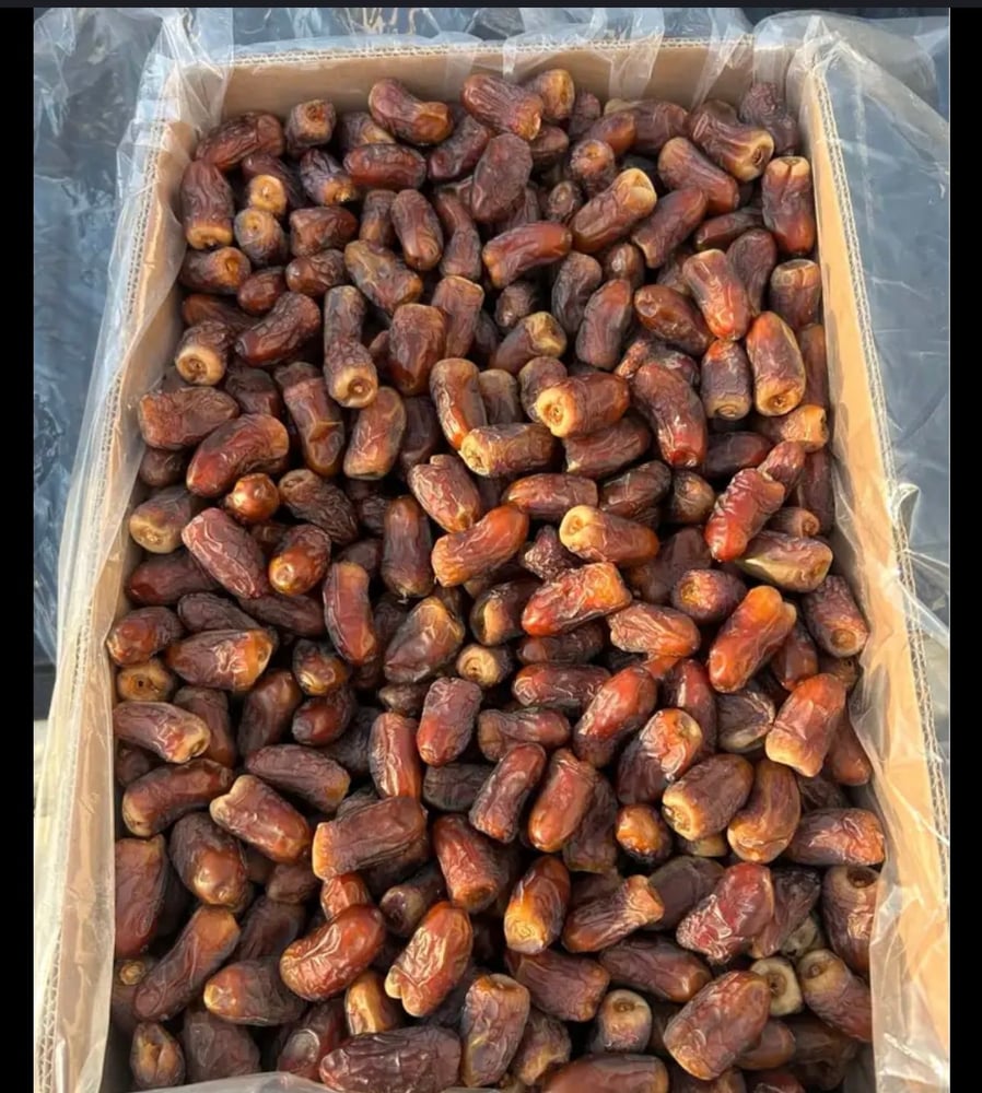 برني المدينة