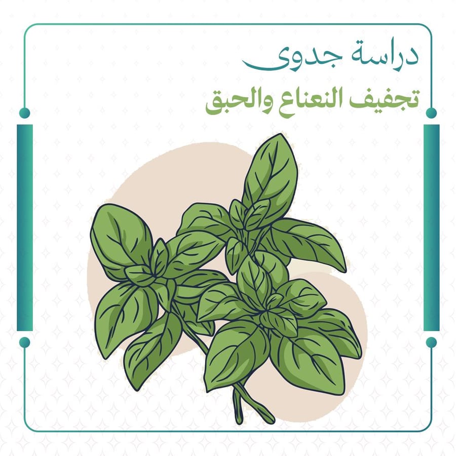 Feasibility study of mint and basil drying to support the countryside