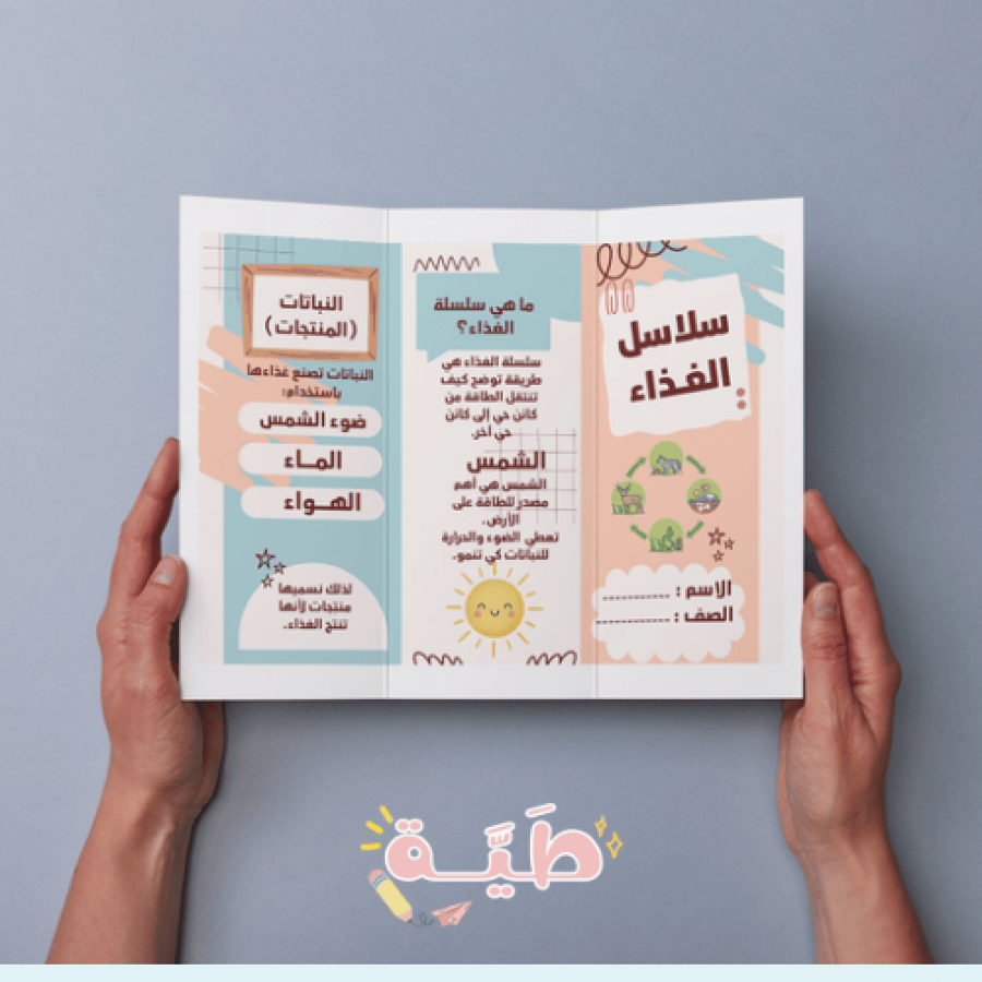مطوية الصف الثاني علوم سلاسل الغذاء الترم الأول