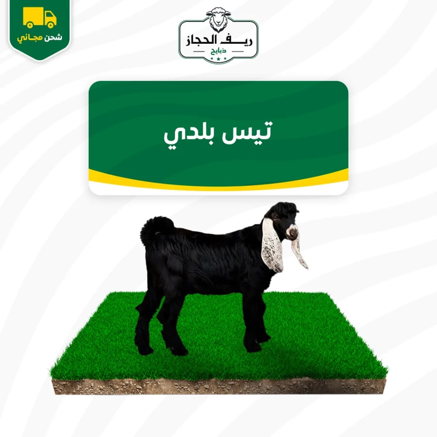 تيس بلدي