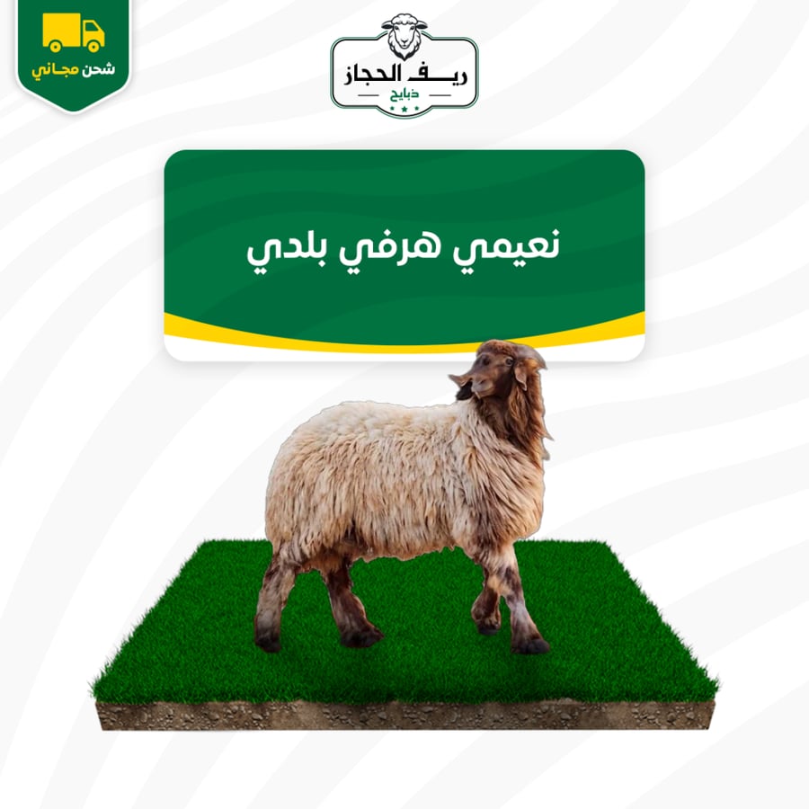 نعيمي هرفي بلدي