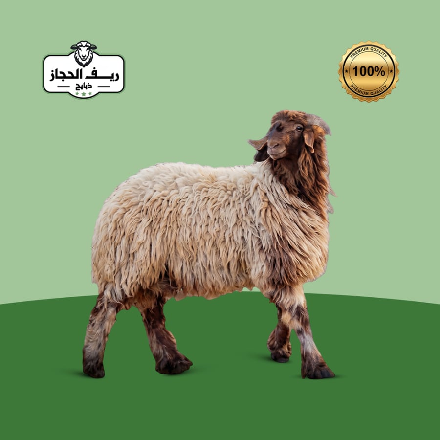 نعيمي هرفي بلدي