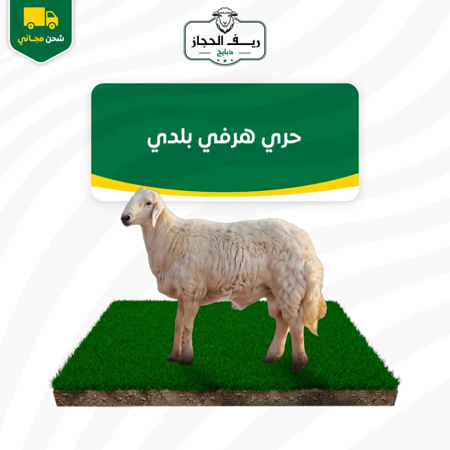 حري هرفي بلدي