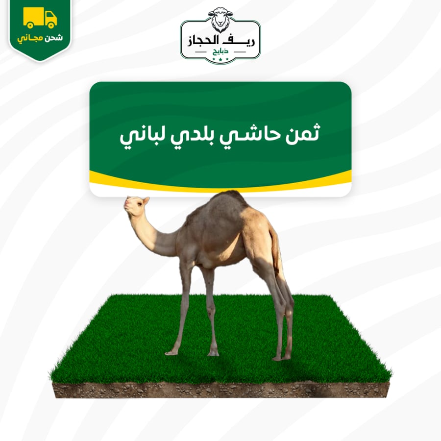 ثمن حاشي بلدي لباني