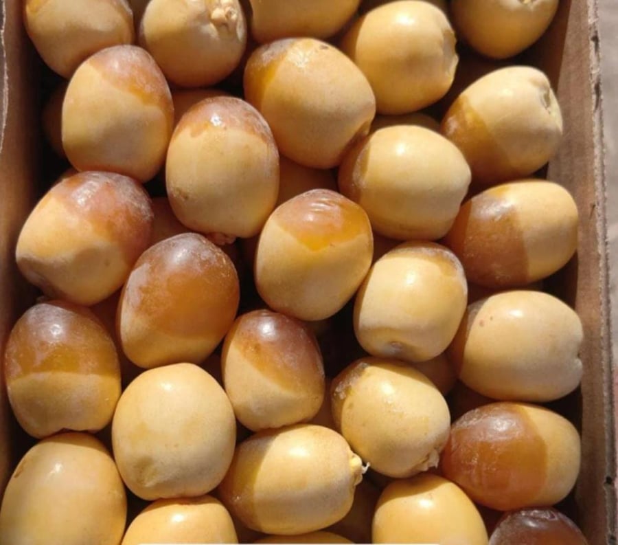 هلاليه