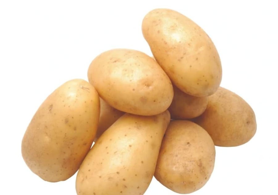 بطاطس
