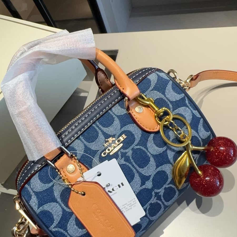 COACH Mini