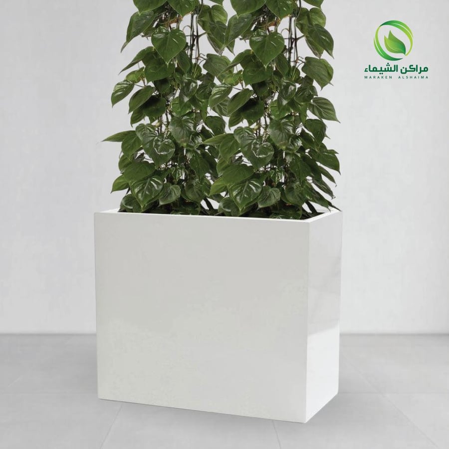 A planting basin for restaurants and cafes