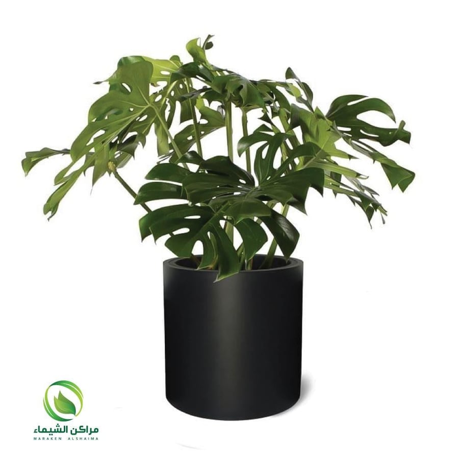 A fiber planting stand 65cm