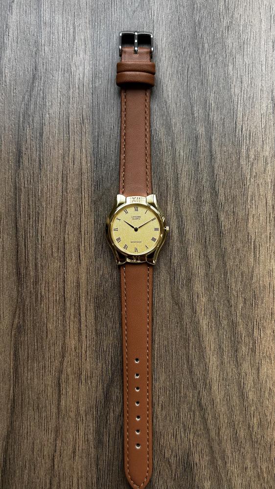 كلاسيك سيتيزن 1973s-1980s