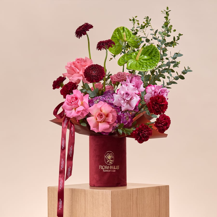 ڤيلورا ماجستيك