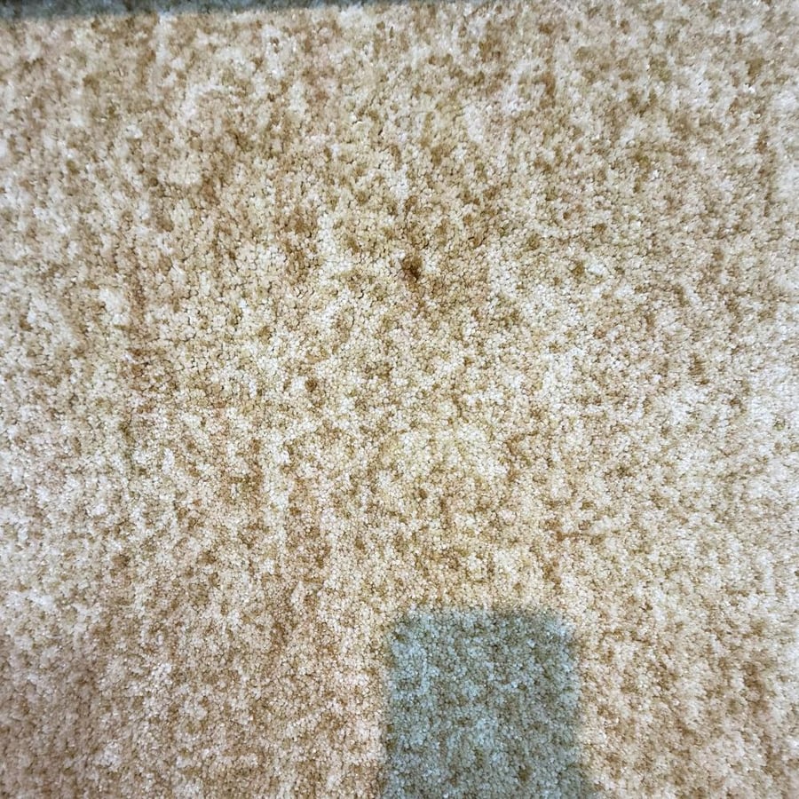 سجـاد قـص فندقي مرسيليا