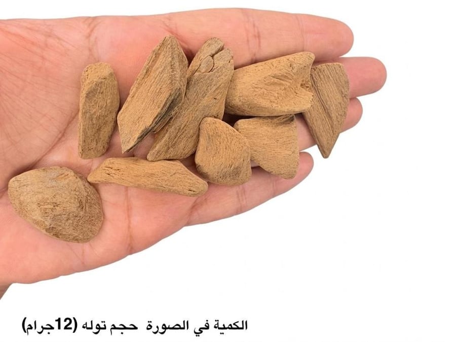 موروكي المجلس