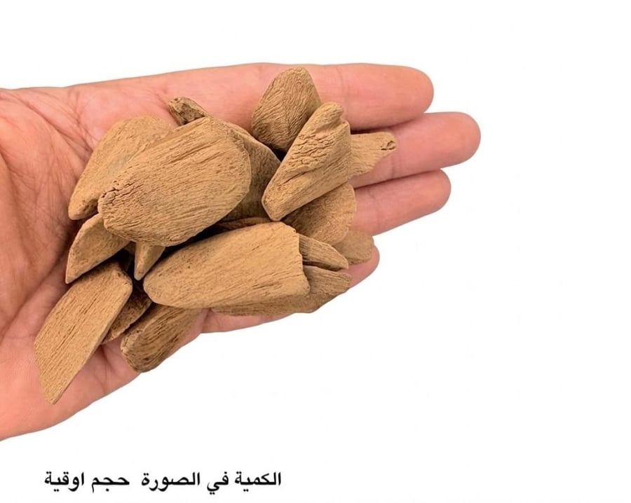 موروكي المجلس