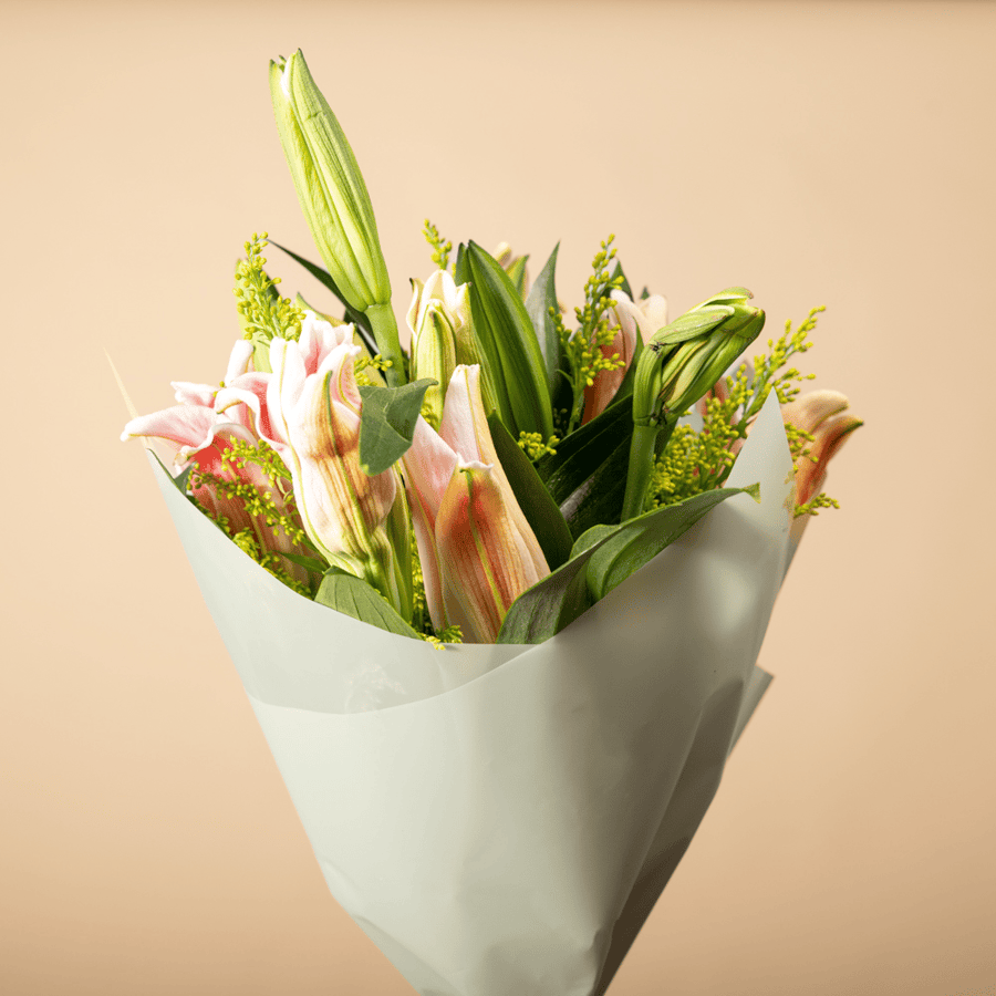 باقة عبير الصفاء