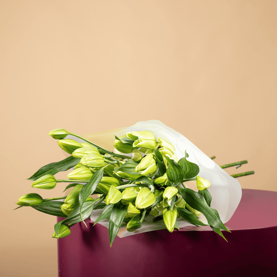 باقة وعد النماء