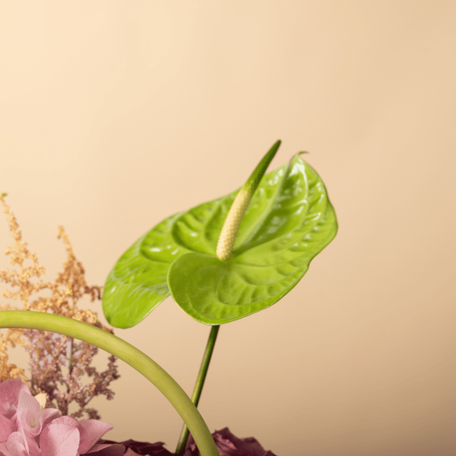 فازة لمسة إبداع