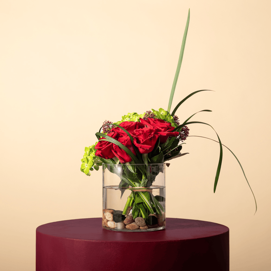 فازة نبض الأحمر