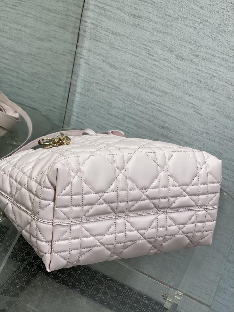Dior Toujours Medium Bag