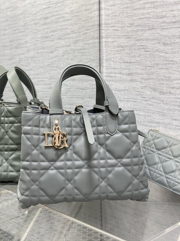 Dior Toujours Medium Bag