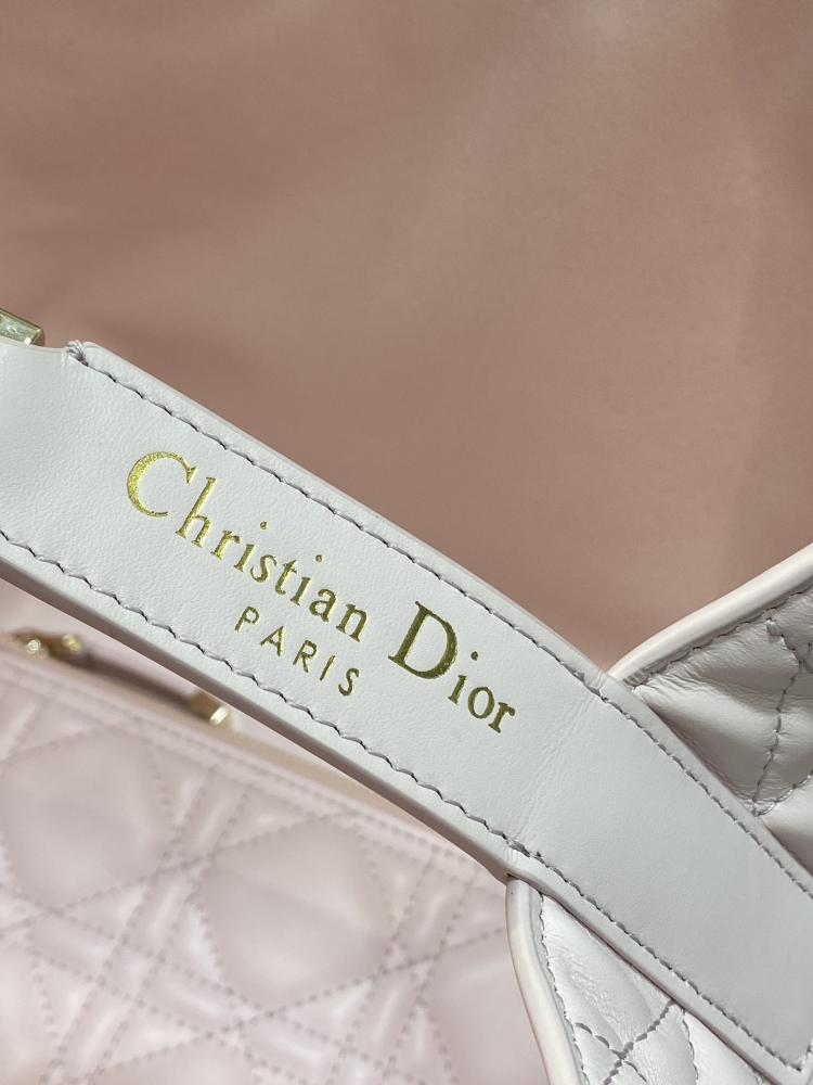 Dior Toujours Medium Bag