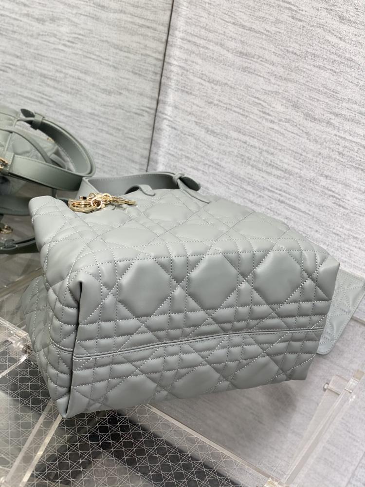 Dior Toujours Medium Bag